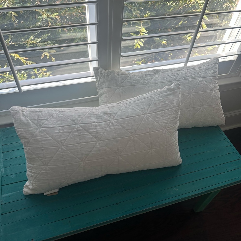 T.J.Maxx White Quilted Pillow Set